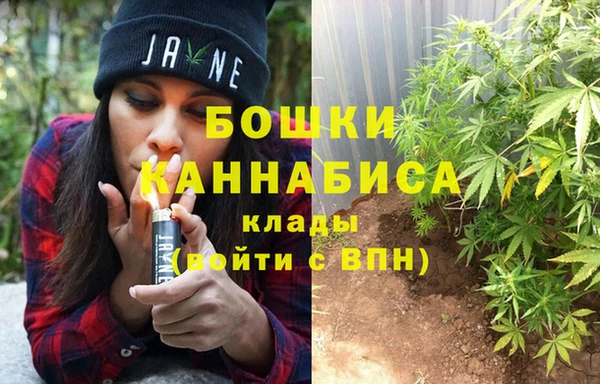 амф Осинники