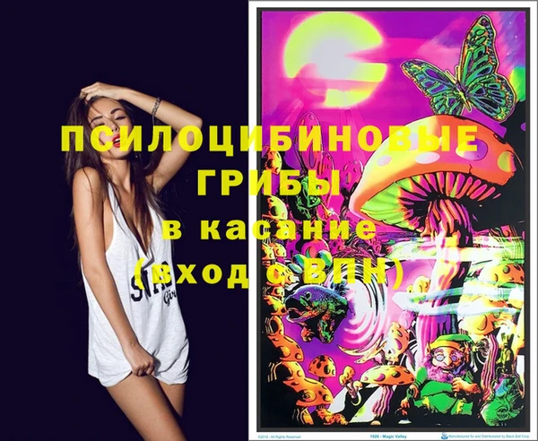 амф Осинники