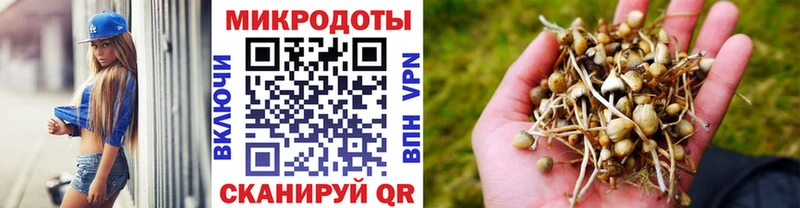 Купить где  Кыштым  Псилоцибиновые грибы ЛСД 